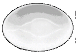 Lg Oval Dish
