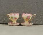 R.S. Prussia Cup & Saucer - Roses